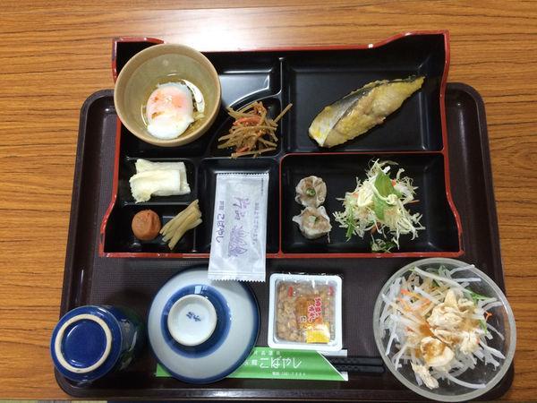 Katashina Ryokan Kobayashi المظهر الخارجي الصورة